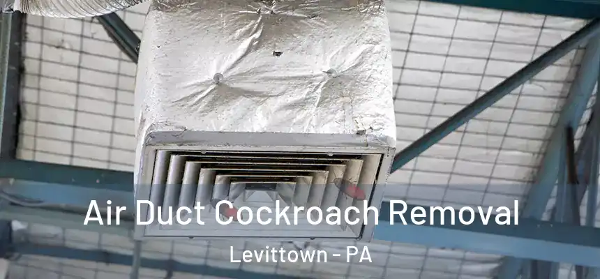  Air Duct Cockroach Removal Levittown - PA