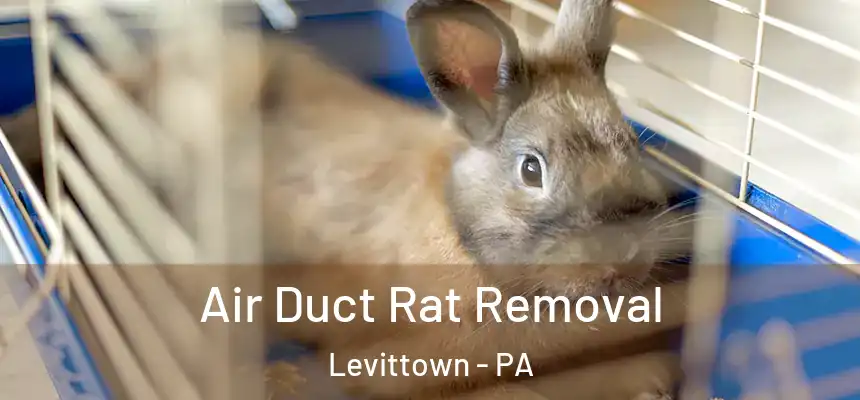  Air Duct Rat Removal Levittown - PA