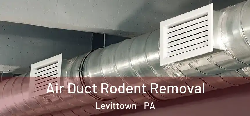Air Duct Rodent Removal Levittown - PA