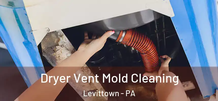 Dryer Vent Mold Cleaning Levittown - PA