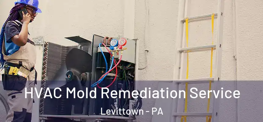 HVAC Mold Remediation Service Levittown - PA