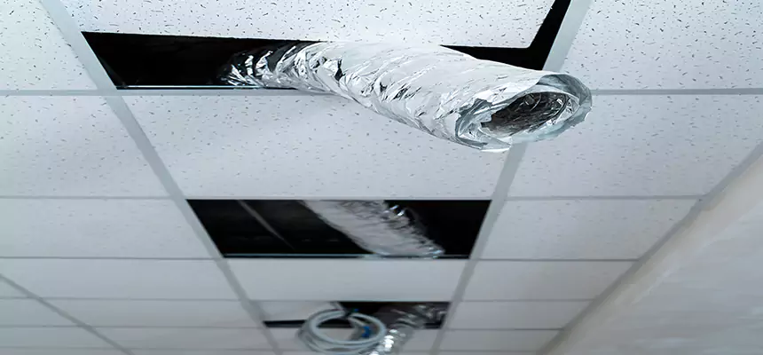 Affordable HVAC Sanitizing After Pest Removal in Levittown