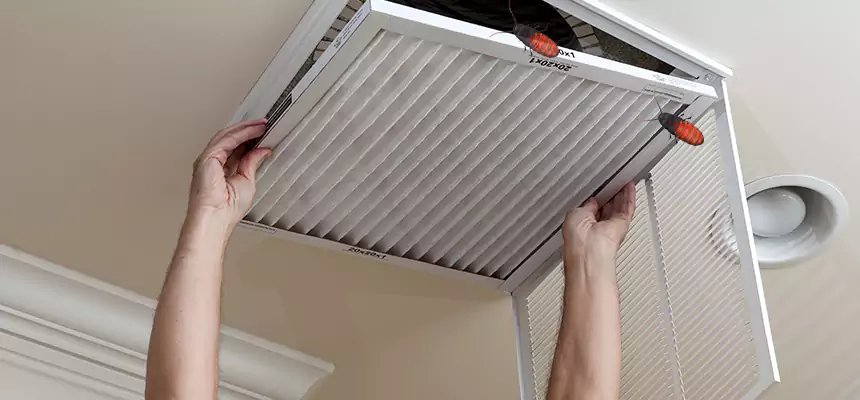 Our Insect Removal from Air Ducts Services in Levittown, PA