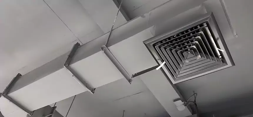 Our Pest Removal From Ducts Services in Levittown, PA