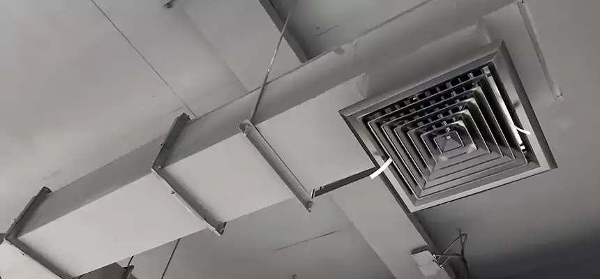 Our Rodent Droppings In Vents Services in Levittown, PA