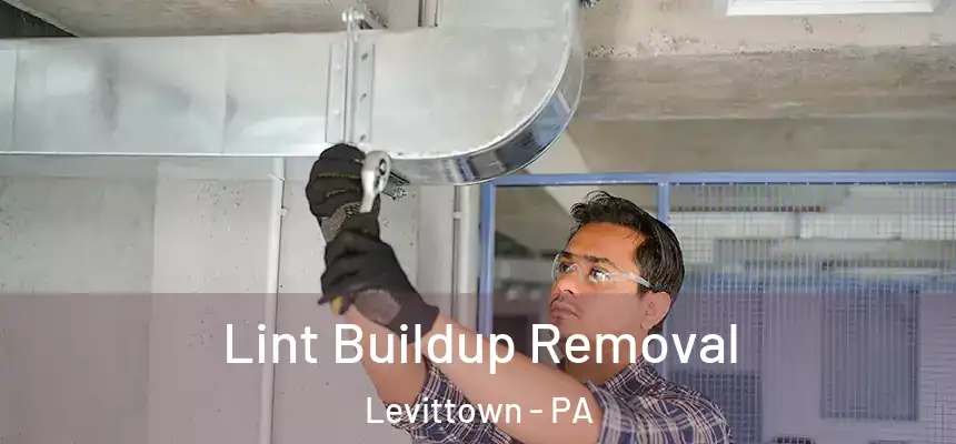 Lint Buildup Removal Levittown - PA
