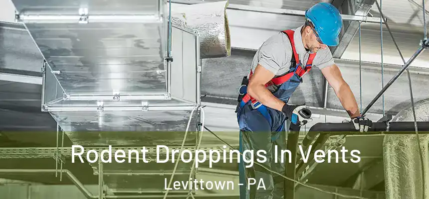 Rodent Droppings In Vents Levittown - PA