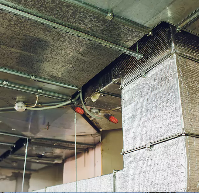 Why Homeowners & Businesses Trust Us in Levittown, PA?