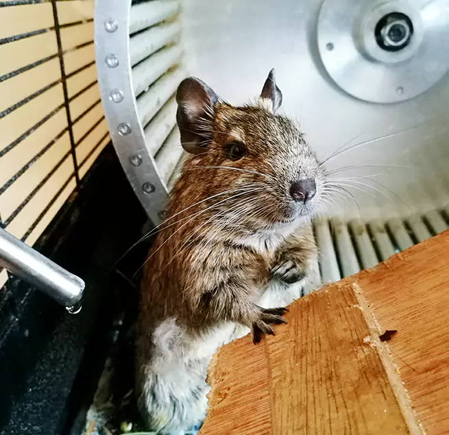 Why Homeowners & Businesses Trust Us Levittown, PA?