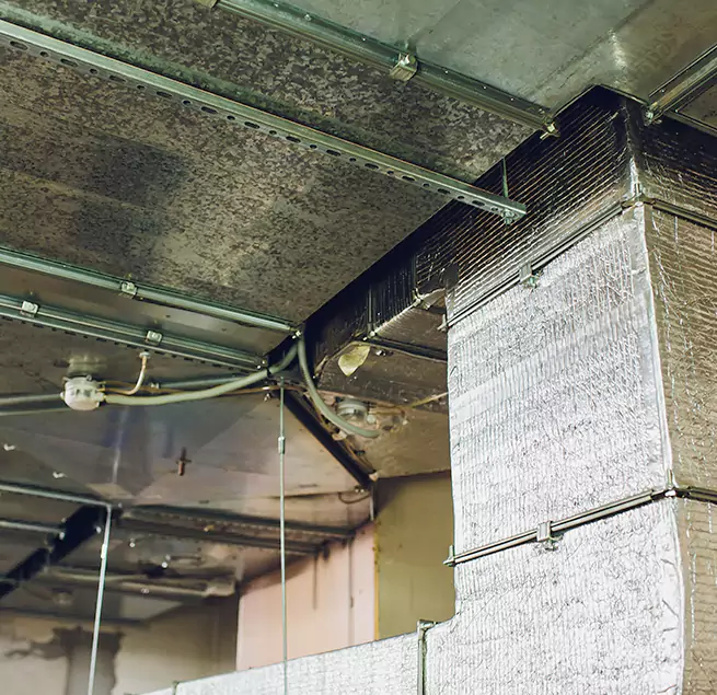 Why Homeowners & Businesses Trust Us in Levittown, PA?